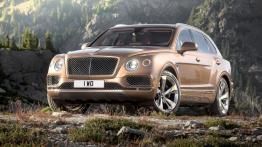 Bentley Bentayga 4.0 Diesel V8 435KM 320kW 2017-2020