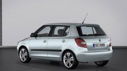 Skoda Fabia 2010 - widok z tyłu