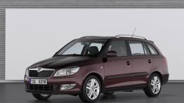 Skoda Fabia Kombi 2010 - widok z przodu