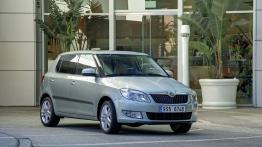 Skoda Fabia 2010 - widok z przodu