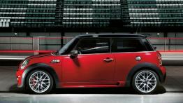 Mini Cooper 2010 - lewy bok