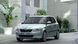 Skoda Fabia 2010 - widok z przodu