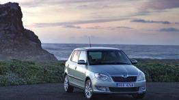 Skoda Fabia 2010 - widok z przodu