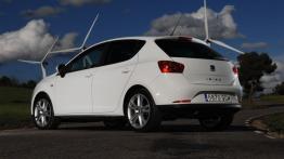 Seat Ibiza 2008 - lewy bok