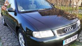 Audi A3 8L Hatchback 1.6 i 101KM 74kW 1996-2000