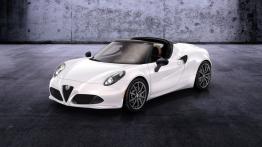 Alfa Romeo 4C Spider Concept (2014) - widok z przodu