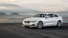 BMW 420d Gran Coupe (2014) - widok z przodu