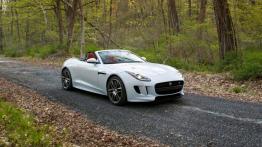 Jaguar F-Type AWD R Roadster (2016) - widok z przodu