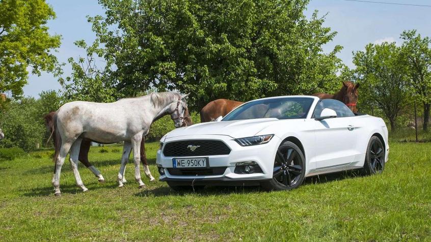 Ford Mustang VI Convertible 5.0 Ti-VCT 421KM 310kW 2014-2017