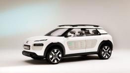 Citroen Cactus Concept (2013) - lewy bok