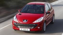 Peugeot 206 Hatchback 1.9 D 69KM 51kW 1998-2004