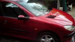 Peugeot 206 Hatchback 1.9 D 69KM 51kW 1998-2004