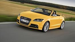 Audi TT 8N Roadster 1.8 T 225KM 165kW 1999-2006