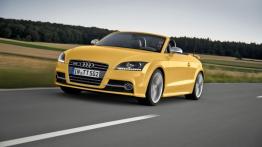 Audi TT 8N Roadster 1.8 T 225KM 165kW 1999-2006