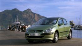 Peugeot 307 - widok z przodu