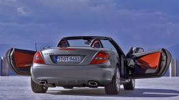 Mercedes SLK 2008 - widok z tyłu