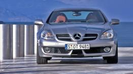 Mercedes SLK 2008 - widok z przodu