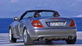 Mercedes SLK 2008 - widok z tyłu