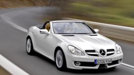 Mercedes SLK 2008 - widok z przodu