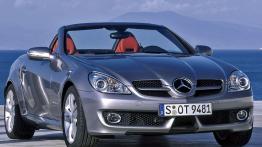 Mercedes SLK 2008 - widok z przodu