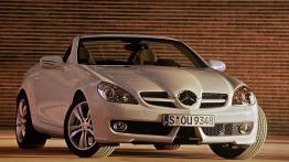 Mercedes SLK 2008 - widok z przodu