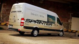 Mercedes Sprinter III Furgon 319 CDI 190KM 140kW od 2009