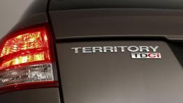 Ford Territory 2011 - emblemat