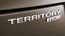 Ford Territory 2011 - emblemat