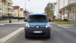 Renault Kangoo II Express Maxi Facelifting 2013 1.5 Blue dCi 115 115KM 85kW 2019-2021