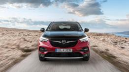 Opel Grandland/Grandland X SUV 2.0 CDTI 177KM 130kW 2018-2021