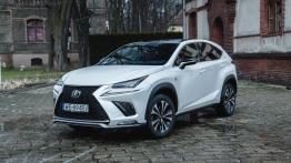 Lexus NX I SUV Facelifting 300 238KM 175kW 2018-2021