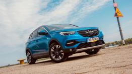 Opel Grandland/Grandland X SUV 2.0 CDTI 177KM 130kW 2018-2021