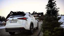 Lexus NX I SUV Facelifting 300 238KM 175kW 2018-2021