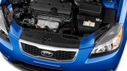 Kia Rio II Hatchback 5d Facelifting 1.4 DOHC 97KM 71kW 2010-2011