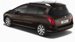 Peugeot 308 SW 2011 - widok z tyłu