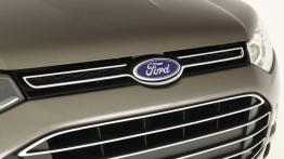 Ford Territory 2011 - grill