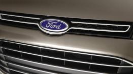 Ford Territory 2011 - grill