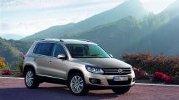 Volkswagen Tiguan 2011 - prawy bok