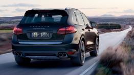 Porsche Cayenne 2010 - widok z tyłu