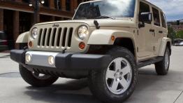 Jeep Wrangler III Terenowy 3.8 V6 Rock-Trac 199KM 146kW 2009-2010