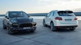 Porsche Cayenne 2010 - widok z przodu