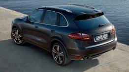 Porsche Cayenne 2010 - widok z tyłu