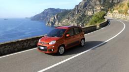 Fiat Panda III - lewy bok