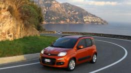 Fiat Panda III - lewy bok