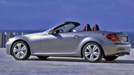 Mercedes SLK R171 Roadster 3.5 V6 (350) 305KM 224kW 2008-2011