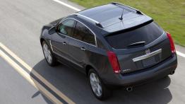 Cadillac SRX 2011 - dach