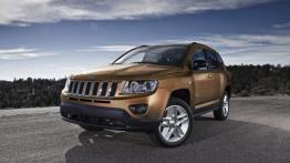 Jeep Compass 2011 - lewy bok