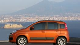 Fiat Panda III - lewy bok