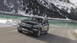 Mercedes Klasa GL X166 Off-roader 500 388KM 285kW 2012-2012