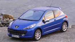 Peugeot 207 Hatchback 3d 1.6 VTi 120KM 88kW 2007-2012